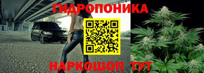 прущие крисы Коммунар