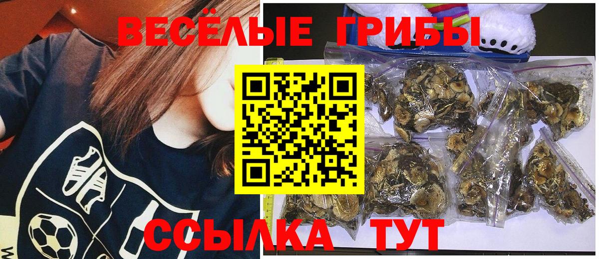 Псилоцибиновые грибы GOLDEN TEACHER  Вход с VPN  Красный Сулин 