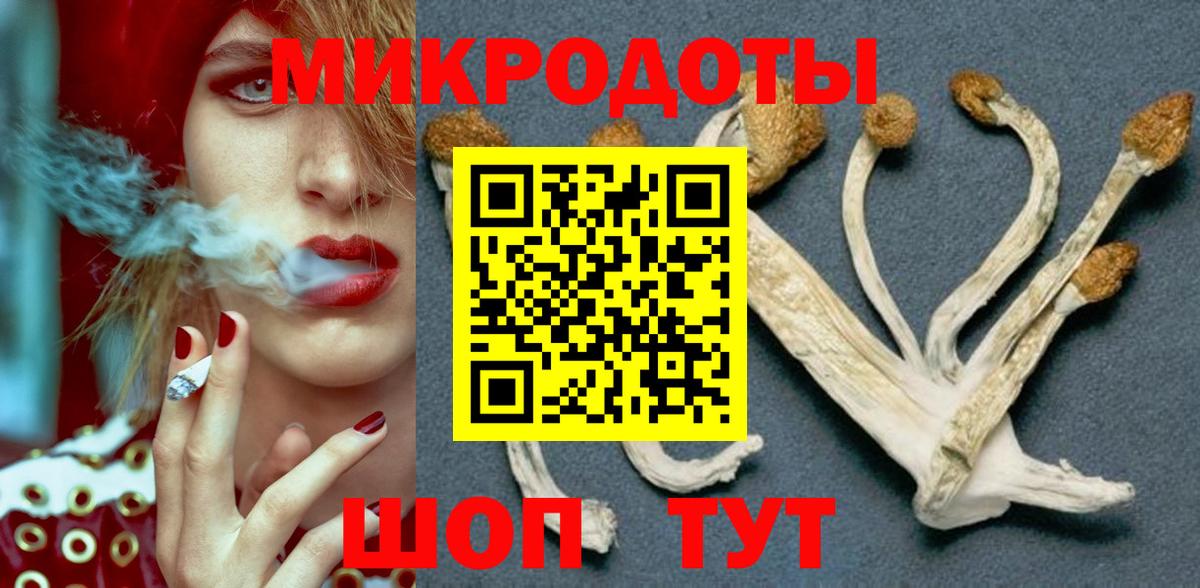 Галлюциногенные грибы Psilocybe Красный Сулин